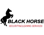 Blackhorse Security