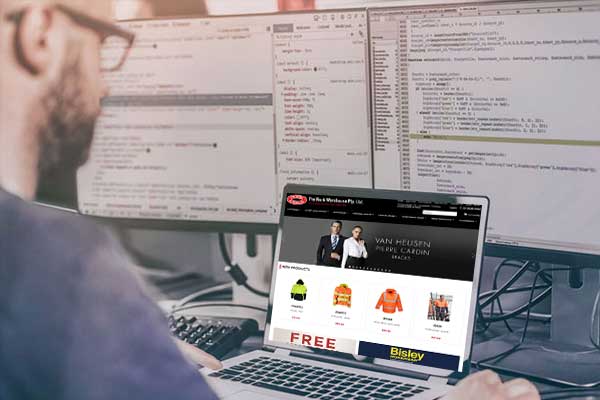 Website Developer