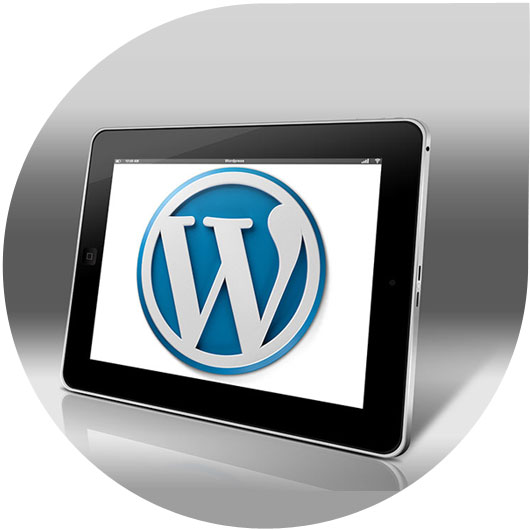 Wordpress Malware Removal Company UAE