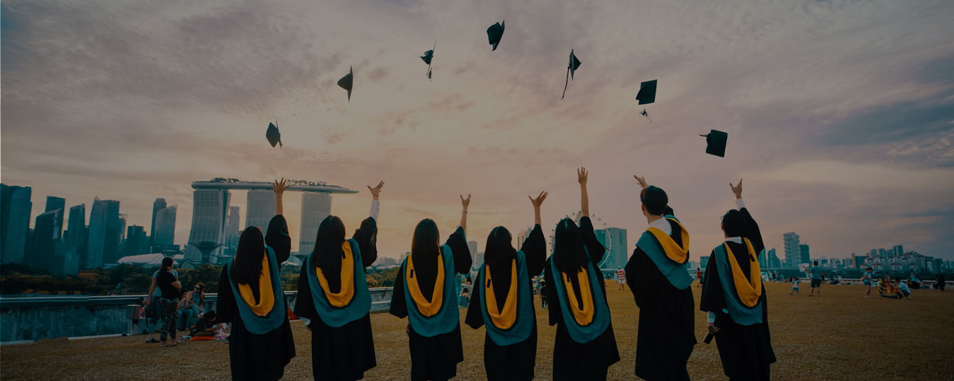 SEO For Educational Website Dubai